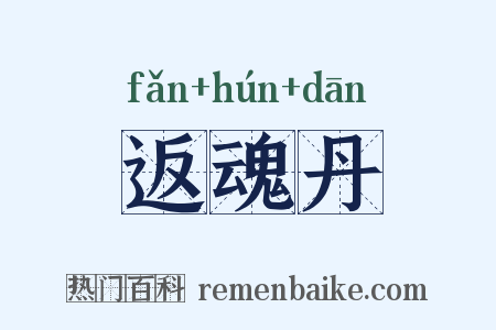 返魂丹是什么意思的图片